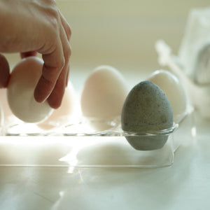 Drying Egg