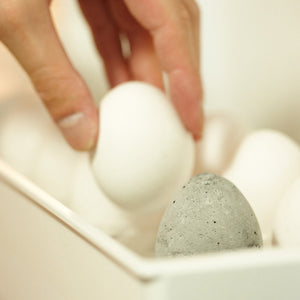 Drying Egg